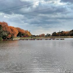 寒波到来！ 大安トラウトレイク